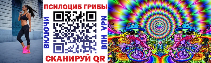 блэк спрут ССЫЛКА  Благовещенск  Галлюциногенные грибы Cubensis 